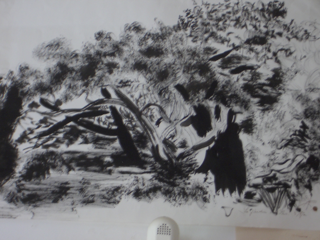 paysage encre . le parc de luc sur mer .