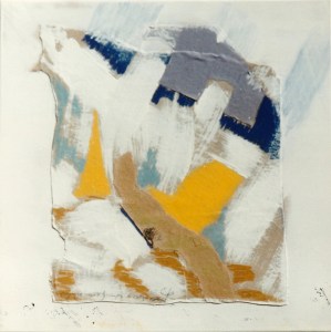 paysage-au-champ-de-colza-3-1994