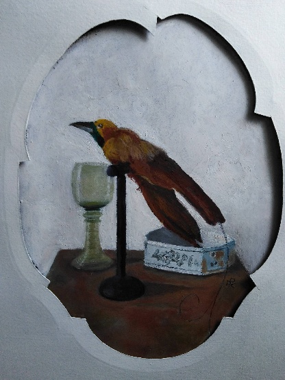 photooiseau du paradis