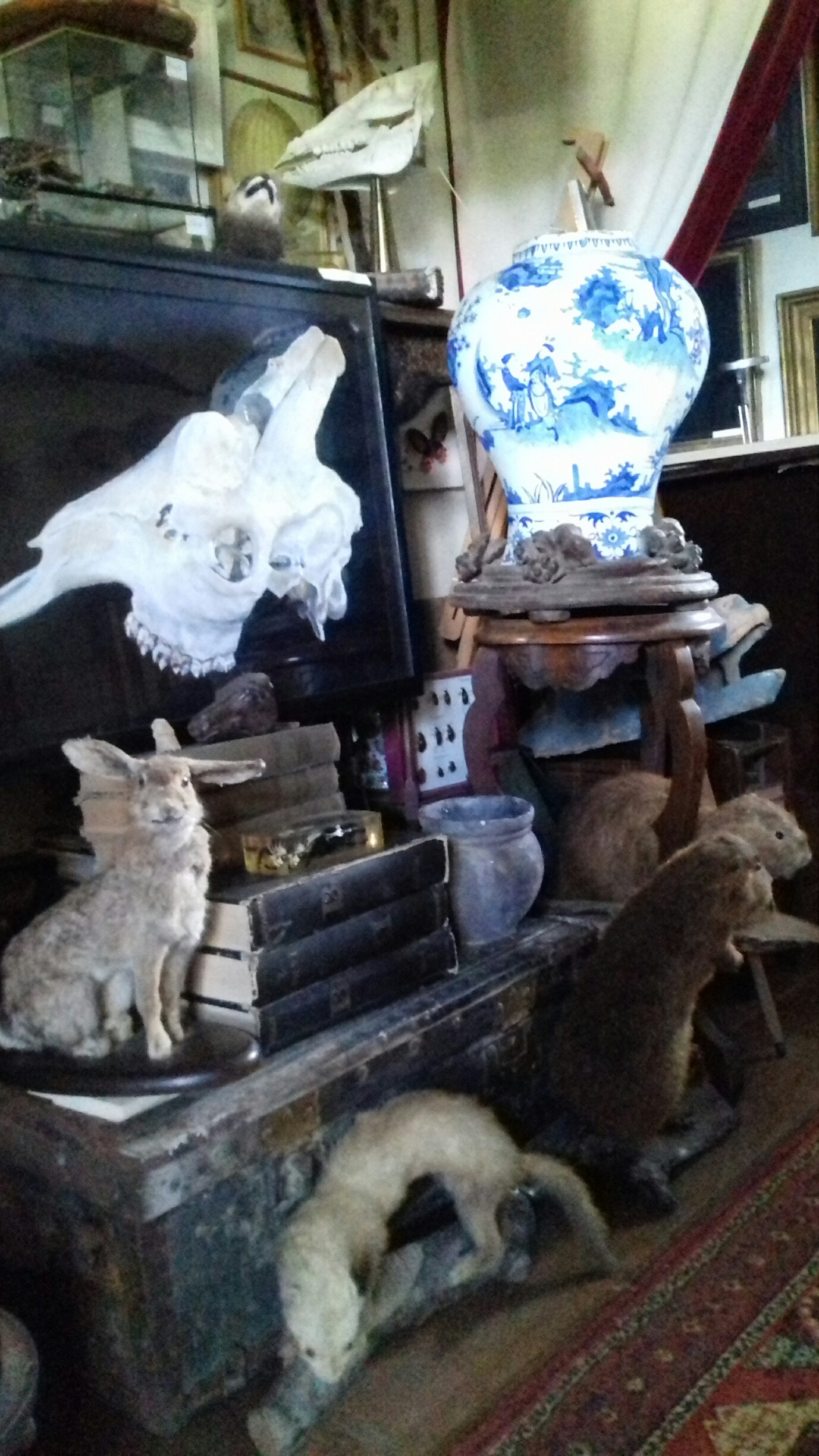 20190924_171302_resized CDC1