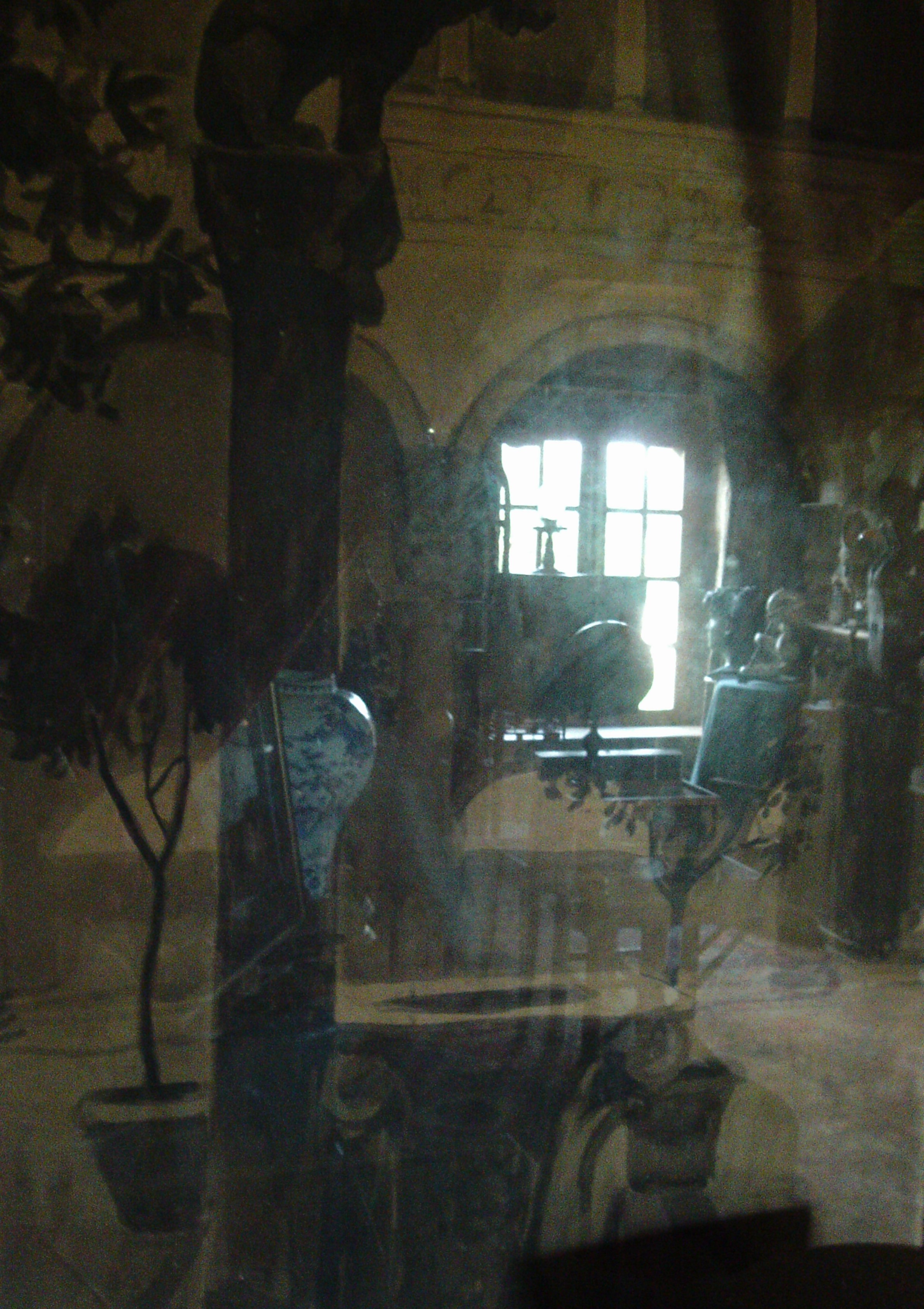 cabinet de curiosité1